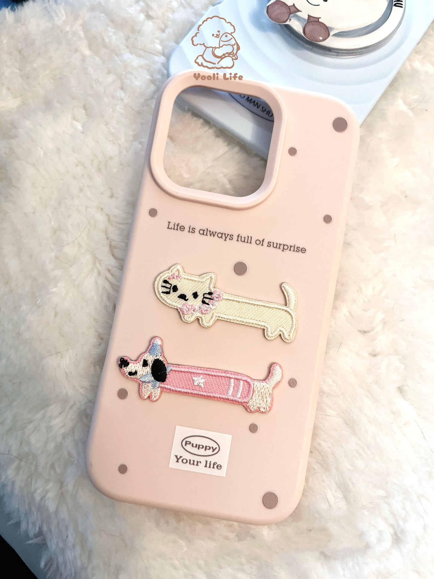 Cat & Dog